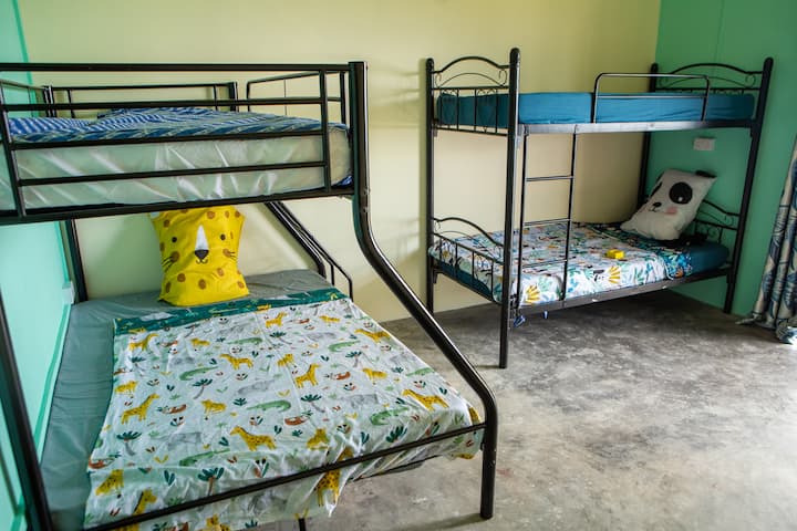 Океанска стая

за 5 души:

- Двойно легло 140 см х 190 см

- 3 lits simples de 90cm x 190cm

- Прилежаща байна сала

- Намира се на горния етаж