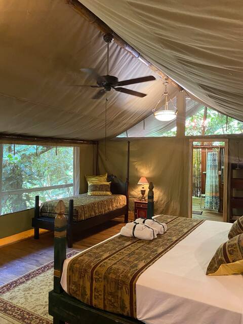 Luxury Glamping Tent Indian style