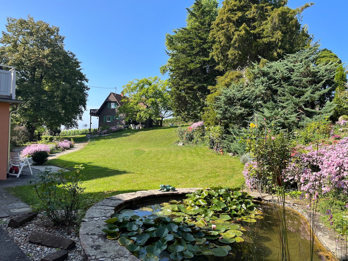 A spacious garden is surrounded by vibrant flowers and greenery, with a serene pond featuring lily pads at the forefront. In the background, a charming house is visible among the trees, under a clear blue sky.