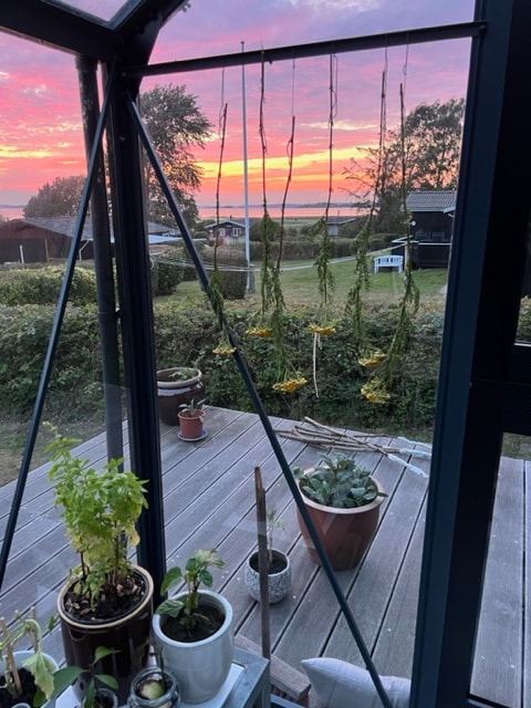 The image captures a serene view from a glass-enclosed space, revealing a colorful sunset over a lush garden. Potted plants, including herbs and succulents, are arranged on a wooden surface. Long trailing plants hang gracefully, adding a touch of greenery in the foreground.
