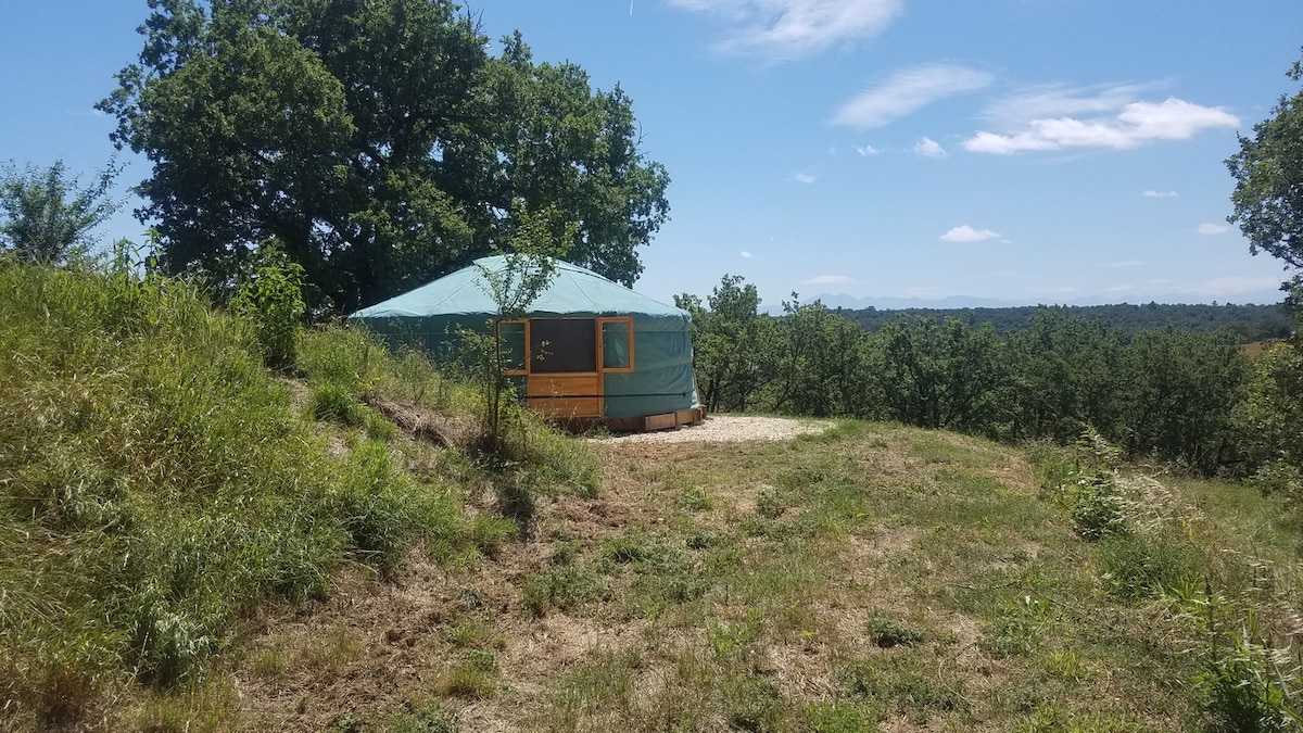 A traditional Mongolian yurt is situated on a grassy hillside, surrounded by trees and offering unobstructed views of the landscape. A clear blue sky with scattered clouds complements the serene environment, creating a natural and peaceful setting.