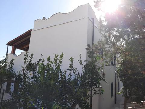 Villa "Peppina" on the beach and garden