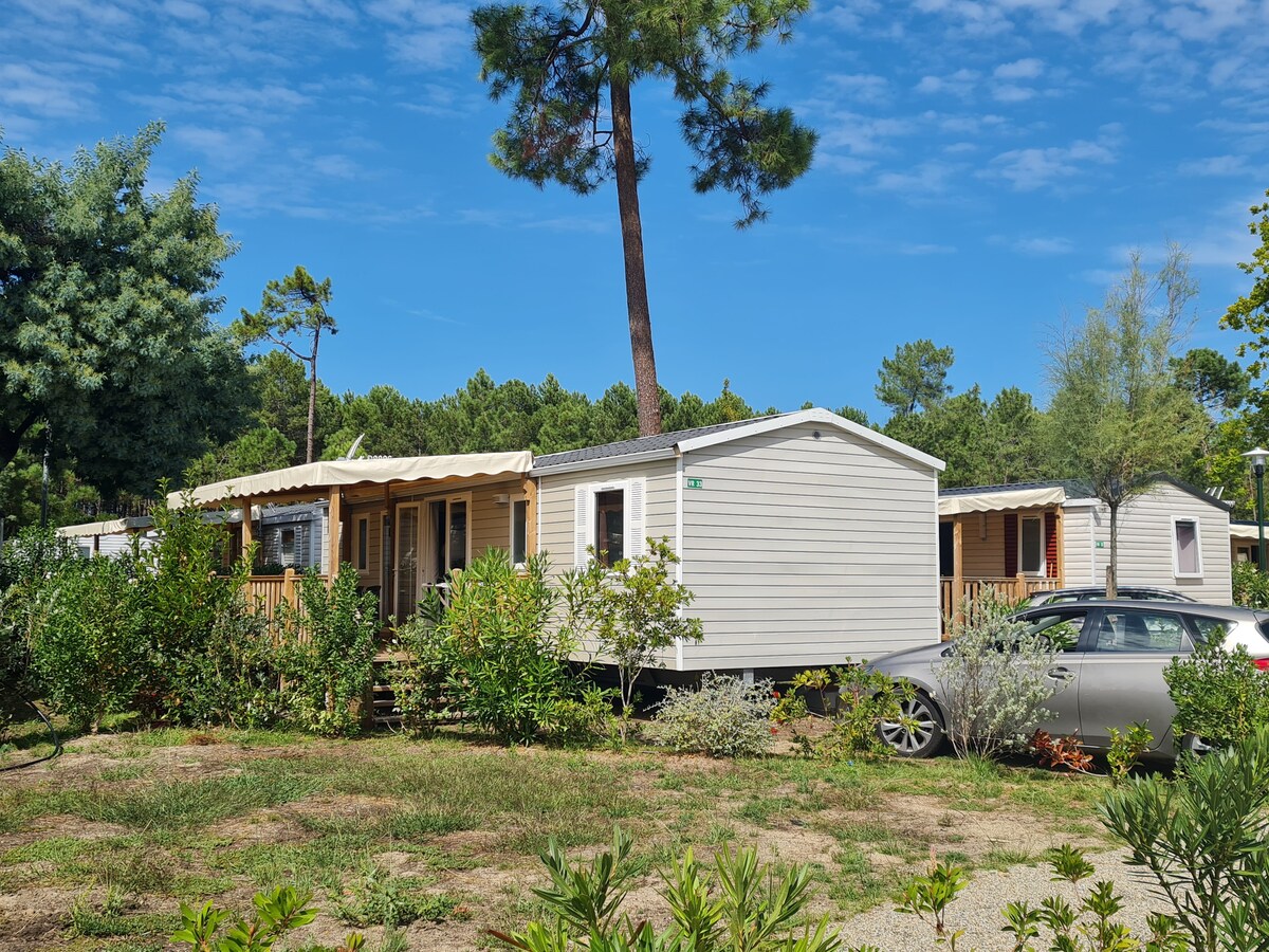 A mobil home stands surrounded by greenery, featuring a covered terrace and wooden steps leading to the entrance. The structure is complemented by tall trees and shrubs, creating a peaceful outdoor setting. A car is parked in the driveway, adding convenience for guests.