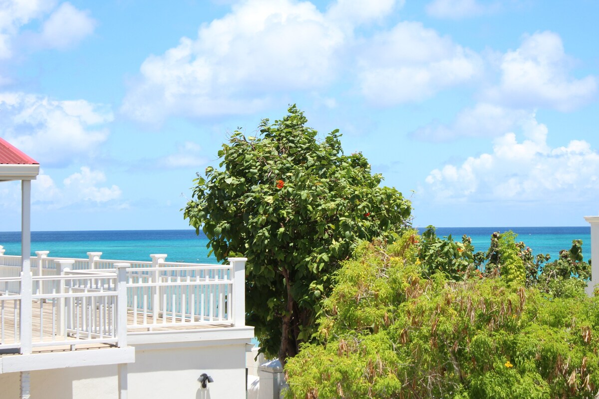 Partial ocean views are visible from the balcony, framed by lush greenery and colorful flowers. A bright blue sky with scattered clouds adds to the serene atmosphere, while the deep blue water stretches into the distance, creating a picturesque coastal scene.