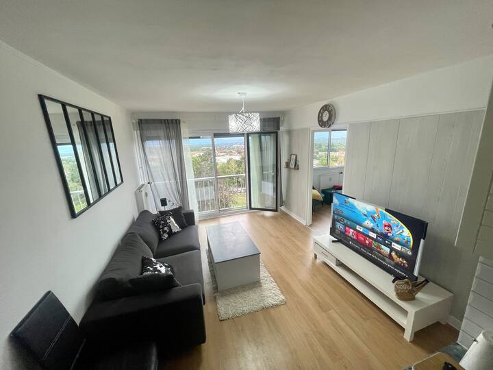 Ski apartment overlooking Mont Blanc Apartments for Rent in Gex