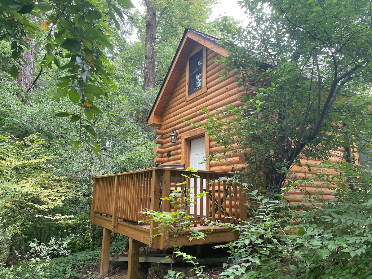 The log cabin stands nestled among lush greenery, surrounded by trees. A wooden deck extends from the front, providing a warm entrance. The cabin features a peaked roof and a single door, inviting guests into its serene environment.