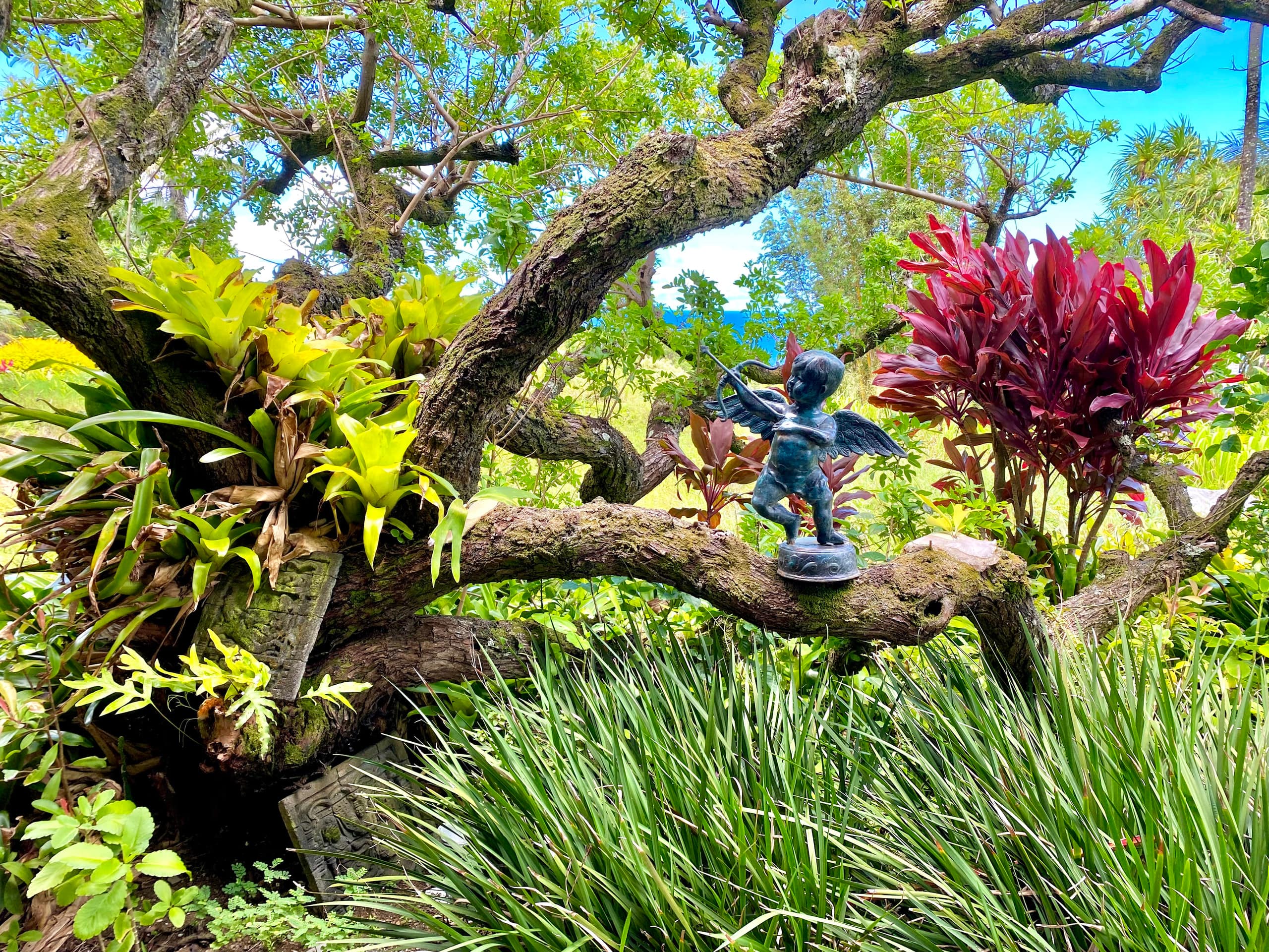 Maui Eco Retreat: Ocean Views & Private Waterfall! - Image 17