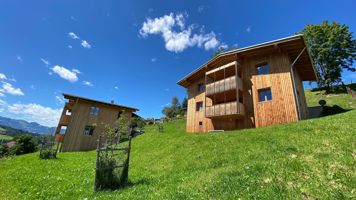 Two wooden cabins stand on a gently sloping green hillside, surrounded by grass and trees. Each cabin features multiple balconies and large windows, reflecting natural light. A clear blue sky with a few clouds completes the serene mountain setting.