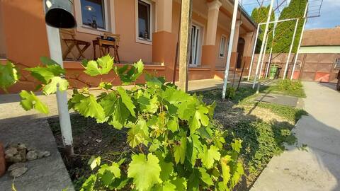 Old house in the suburbs of Vinkovci