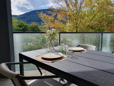 Top performing Airbnb: The terrace of the Vineyard in Bas Rhin