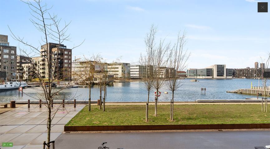 Premium 3bed/2bath Waterfront Sunsets Family Flat