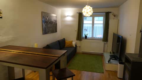 Top performing Airbnb: Apartment (2 rooms, kitchen, bathroom) at the Olympic Park in Am Luitpoldpark