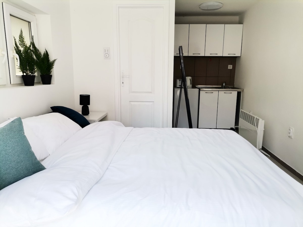 A bright sleeping area features a spacious bed with crisp white linens, complemented by a decorative pillow. A small kitchen with modern cabinetry and essential appliances is visible in the background, and a window with plants adds a touch of greenery.