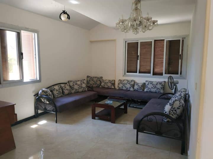 MOHARAM BEK visual data 6