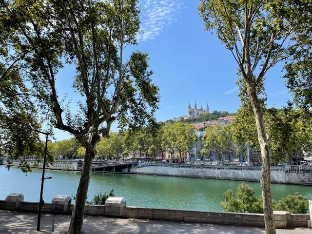 Appartement familial Quais de Saône, plein centre gallery image 3