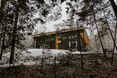 NEW! Modern Cabin in the Woods (Lion's Head)