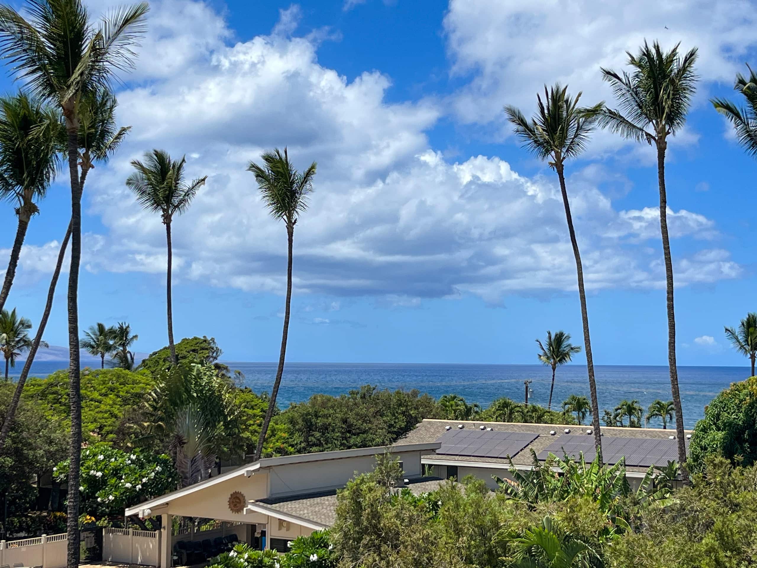 Condo in Kihei · ★4.93 · Studio · 2 beds · 1 bath - Image 1