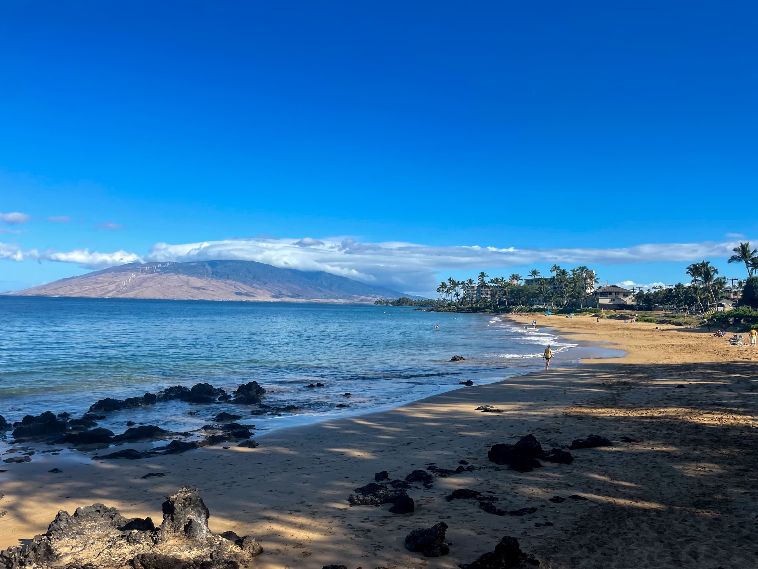 Condo in Kihei · ★4.93 · Studio · 2 beds · 1 bath - Image 42