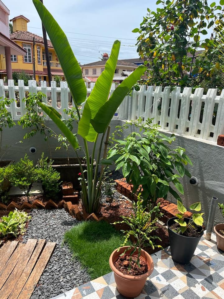 Back garden image 2