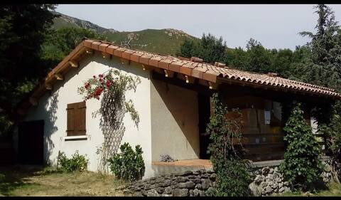 Detached home with land