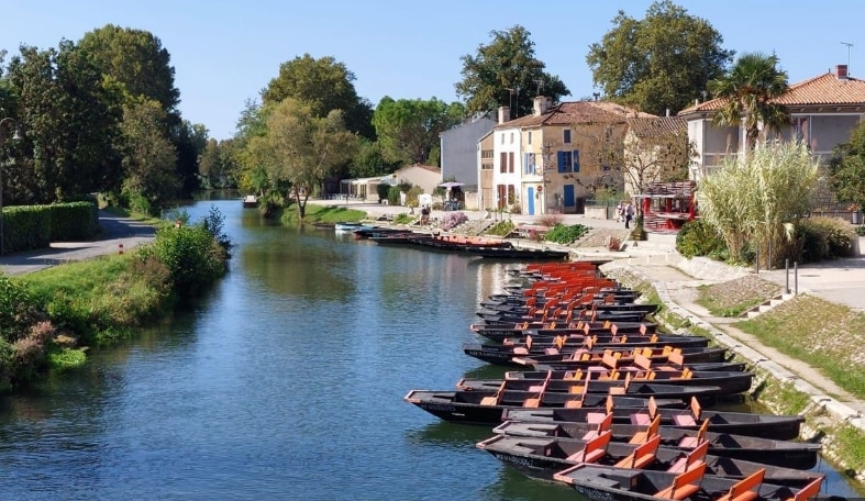 A scenic view of a calm river bordered by lush trees and charming buildings. Traditional wooden boats line the bank, with vibrant orange and black details. A peaceful pathway runs alongside the water, inviting leisurely strolls in a serene environment.