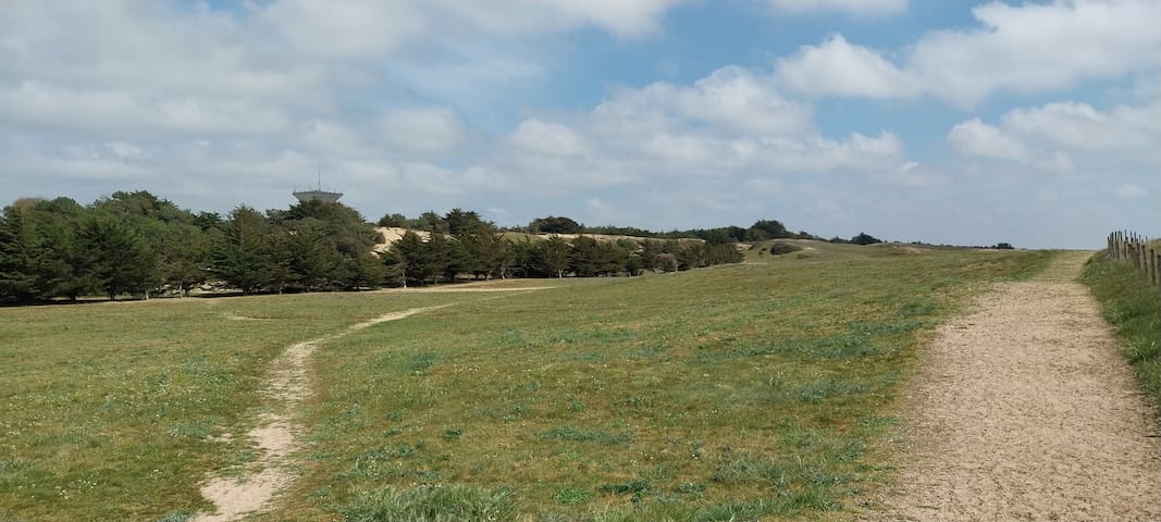 listing_image