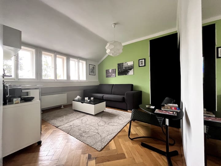 Cozy Studio Next To Prague Castle + City Center - Prague