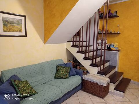 Monica's Little House