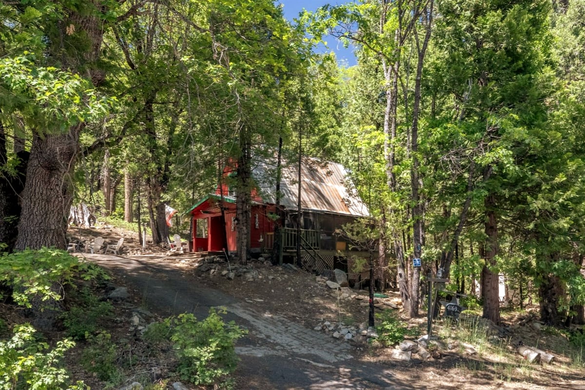 The cabin is nestled among towering trees, showcasing a rustic exterior with a metal roof. A gravel path leads to the entrance, with natural stone and foliage enhancing the serene, wooded surroundings.
