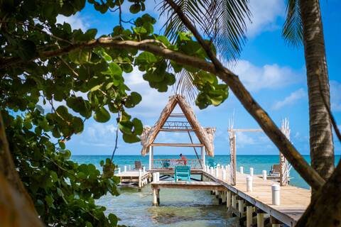 Oceanfront Jungle Retreat for 8