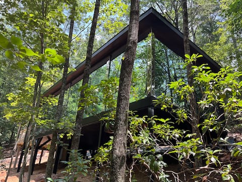 Modern Glass Cabin near trails, wine, & Dahlonega