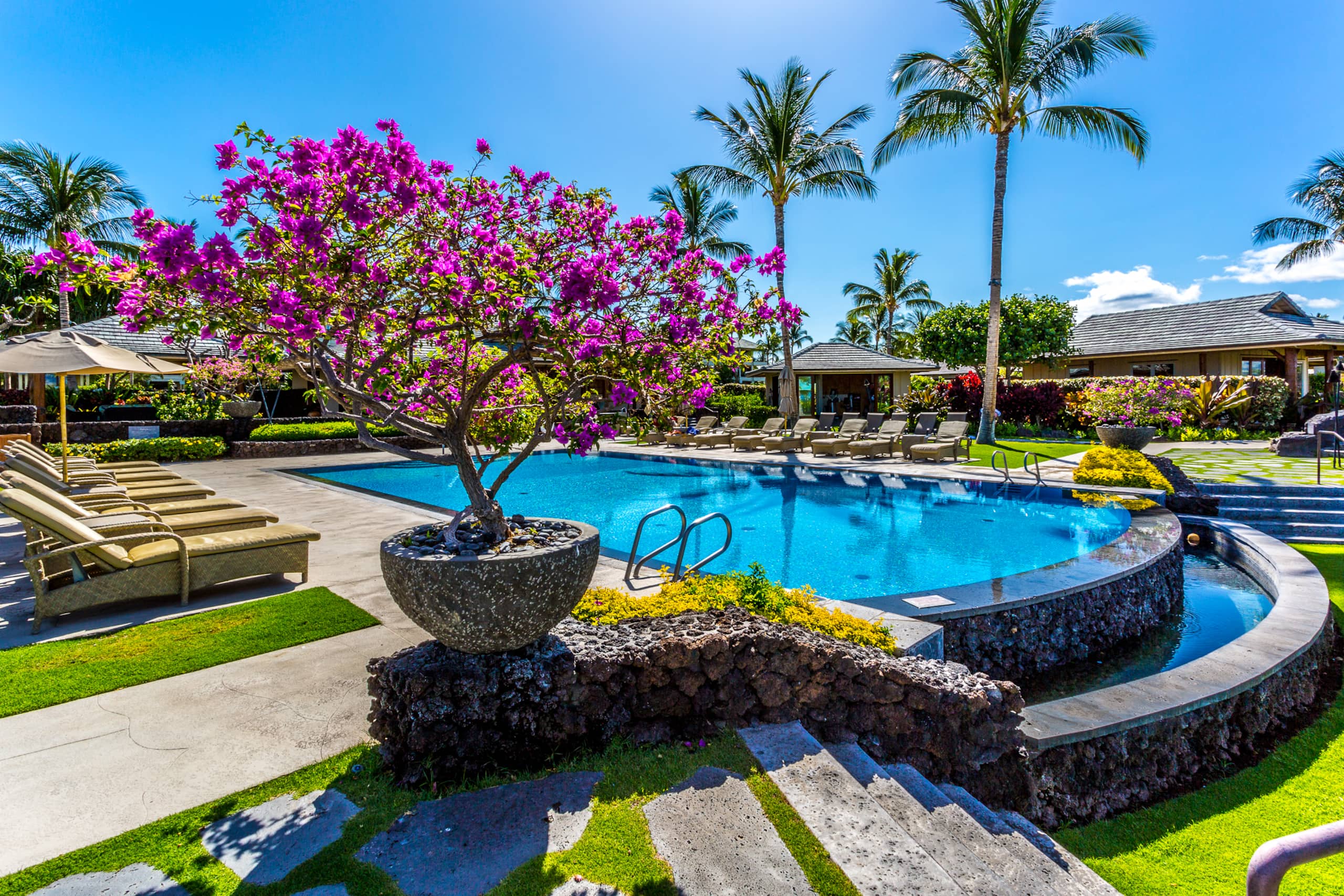 Luxury Kolea | Beach, Hilton Pool & Golf Passes - Image 1