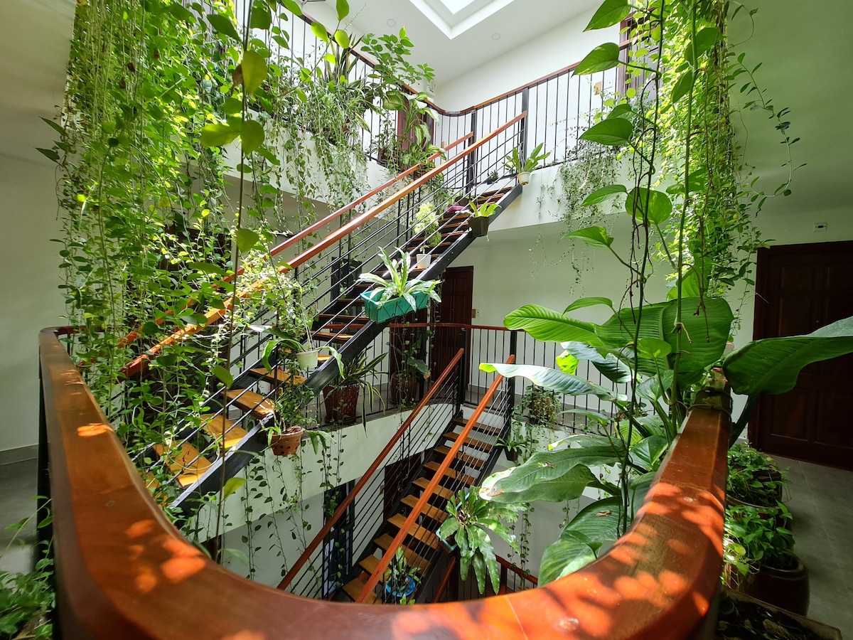 A multi-level staircase is flanked by various green plants, creating a vibrant indoor garden atmosphere. Natural light filters through a skylight above, illuminating the wooden railings and leading down to a lower level adorned with more greenery.