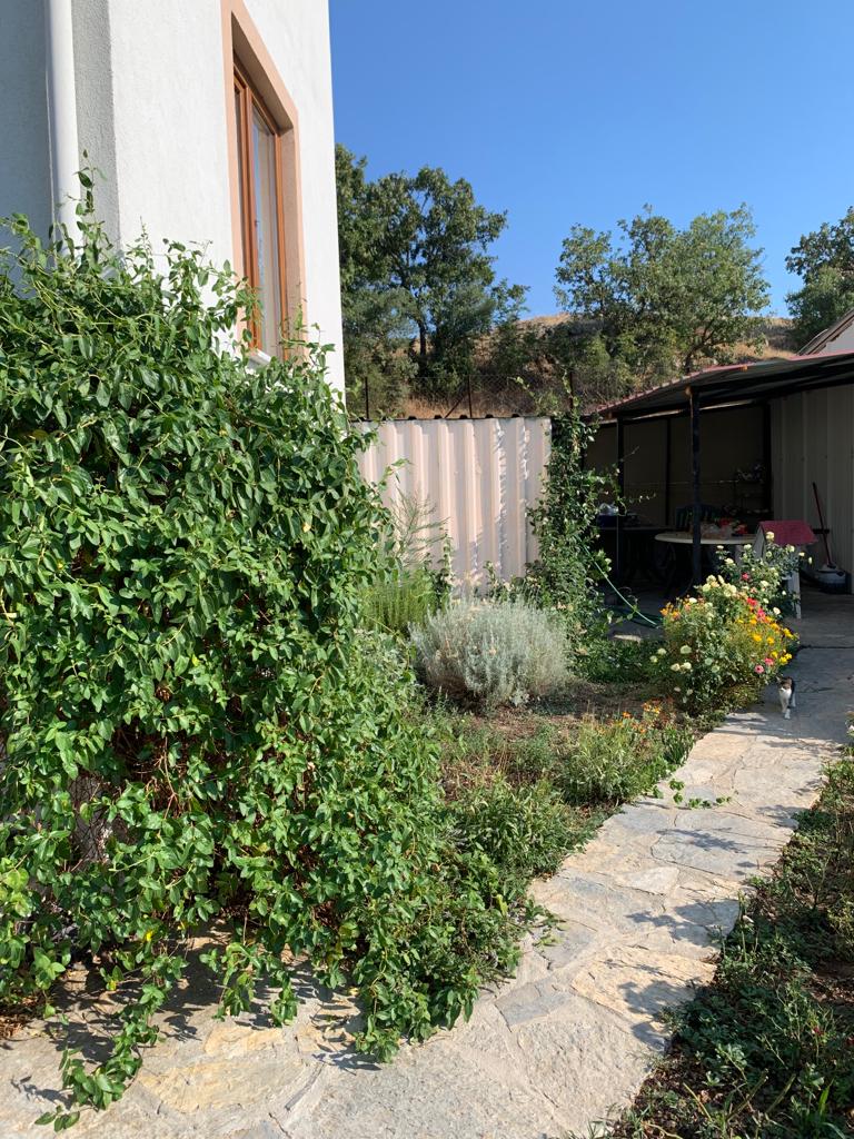 A natural garden area is featured, framed by vibrant greenery and flowering plants. A stone pathway guides through the lush landscape, leading to a shaded patio space nearby. The clear blue sky enhances the inviting environment, creating a serene outdoor retreat.
