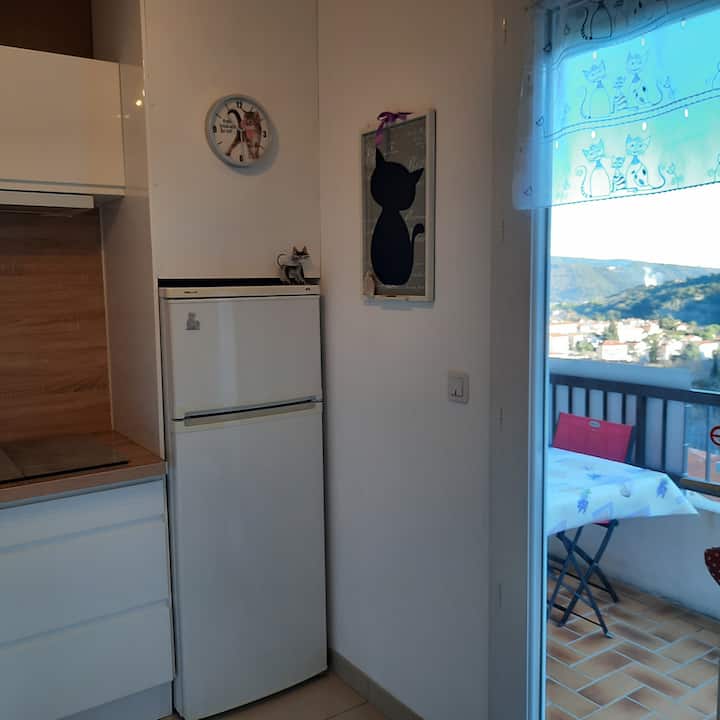 Nymphe T2 - Classé 3 éToiles - Amélie-les-Bains-Palalda