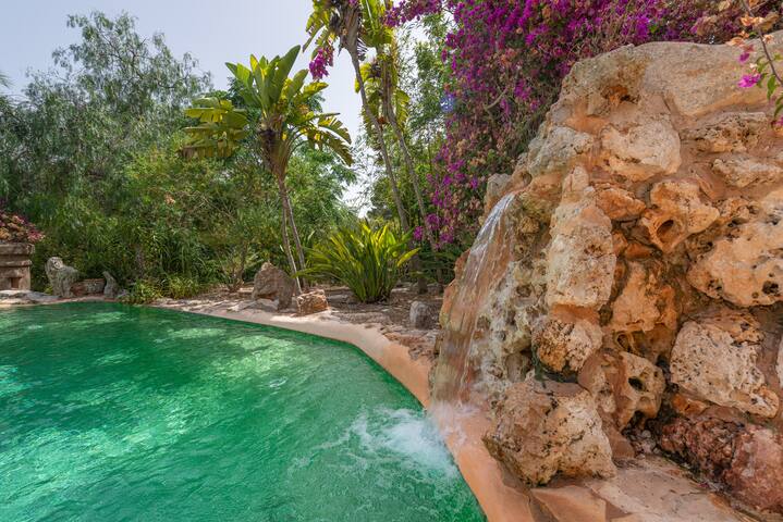 NEW! Espectacular Finca Na Timonera! gallery image 4