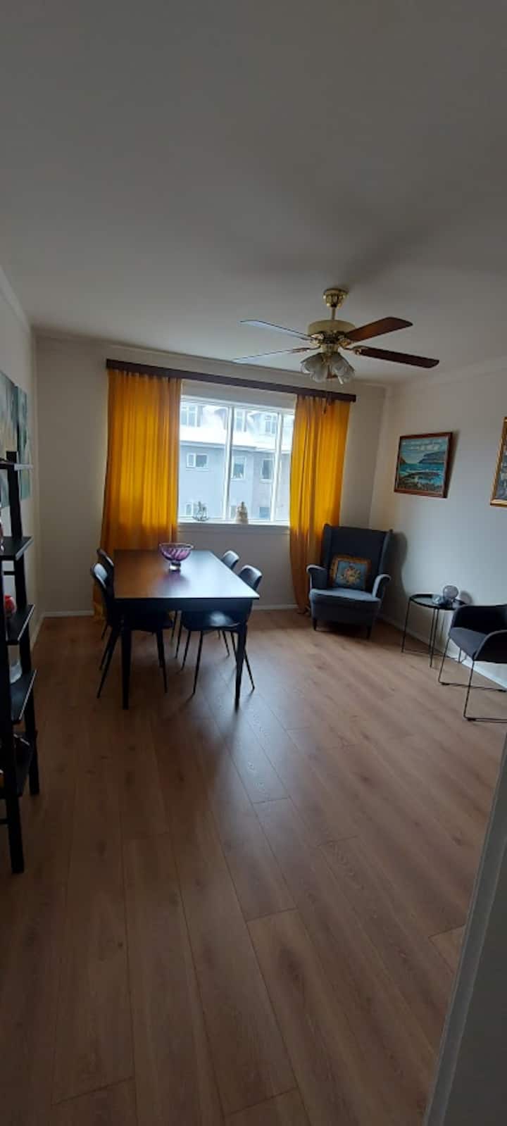 Lovely Flat Downtown Reykjavík - Islande