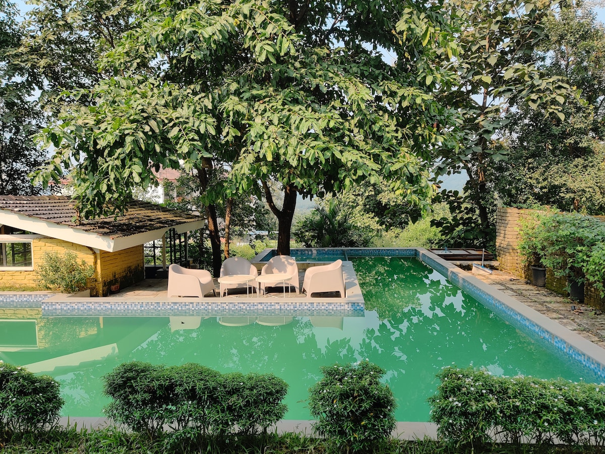 A serene outdoor space features a private plunge pool surrounded by lush greenery. Seating is provided near the water, offering a tranquil spot to relax. A large tree offers shade, enhancing the inviting atmosphere of the setting.