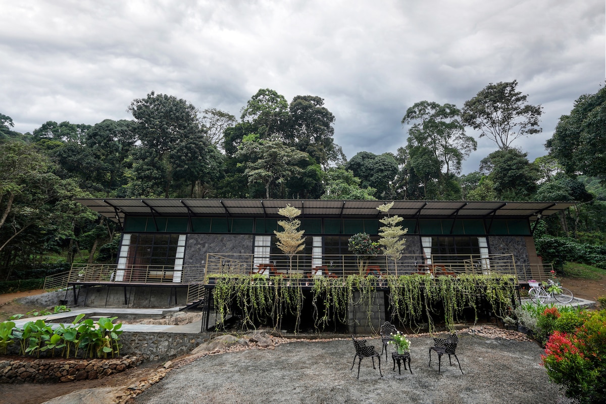 A modern, single-story structure is surrounded by lush greenery, featuring large windows that invite natural light. The entryway is adorned with potted plants and black metal chairs, while overhead, vines cascade from the balcony. The design emphasizes a connection with the wooded surroundings.