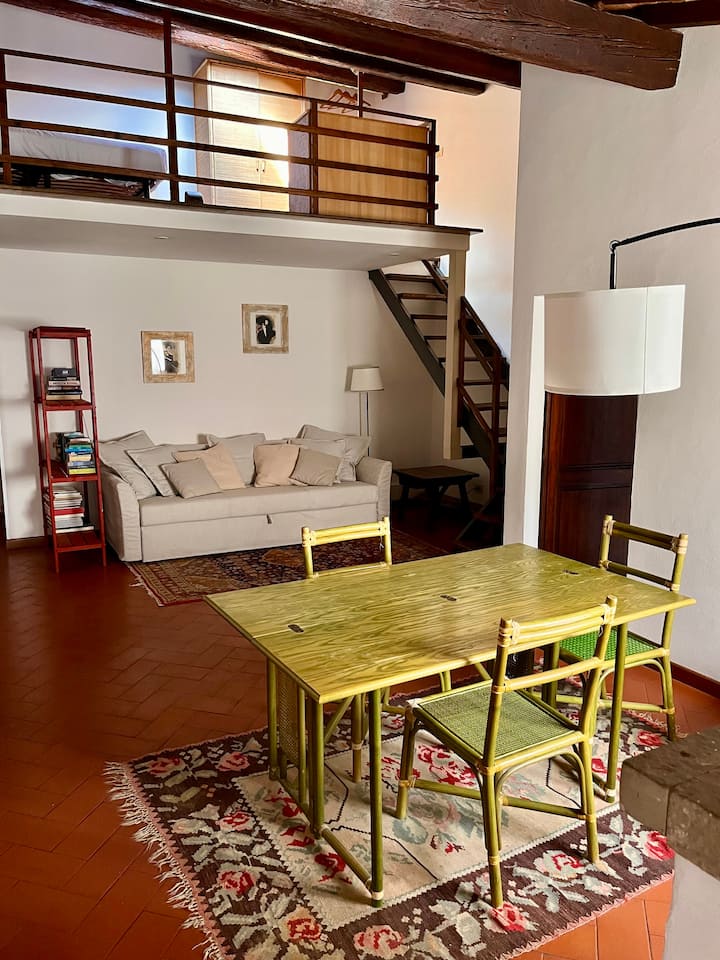 Grand Appartement Près De La Rivière - Firenze