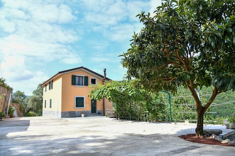 Agriturismo Ü Foestê - Il Forestiero