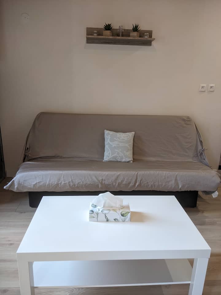 Appartement Et Salle De Jeu - Saint-Claude