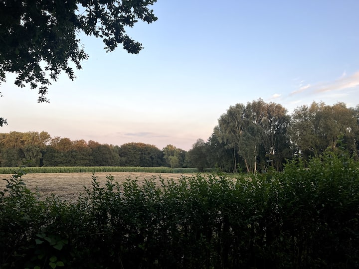 Houten Huisje In Het Groen - Vloesberg