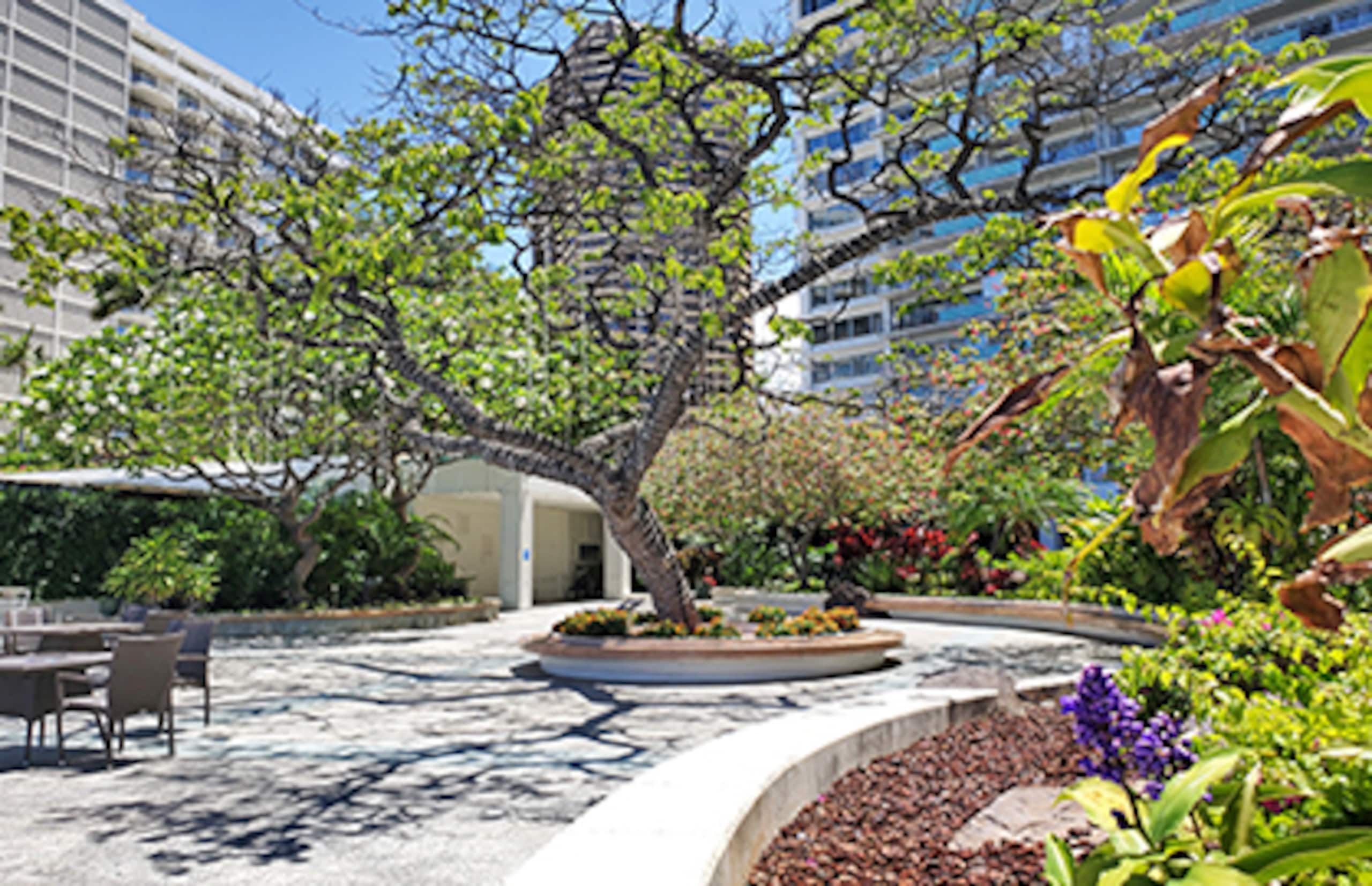 Ilikai Waikiki Resort Condo Sleeps 5 +Free Parking - Image 20