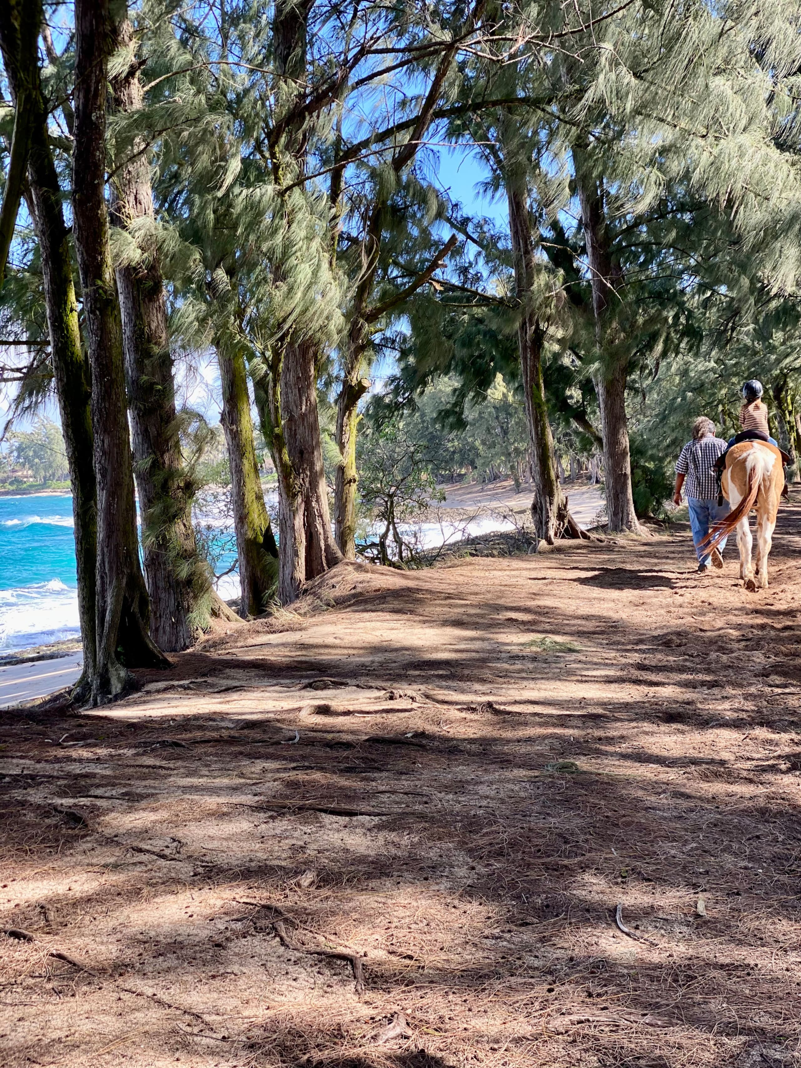Lava Hale: North Shore, Oahu - Image 18