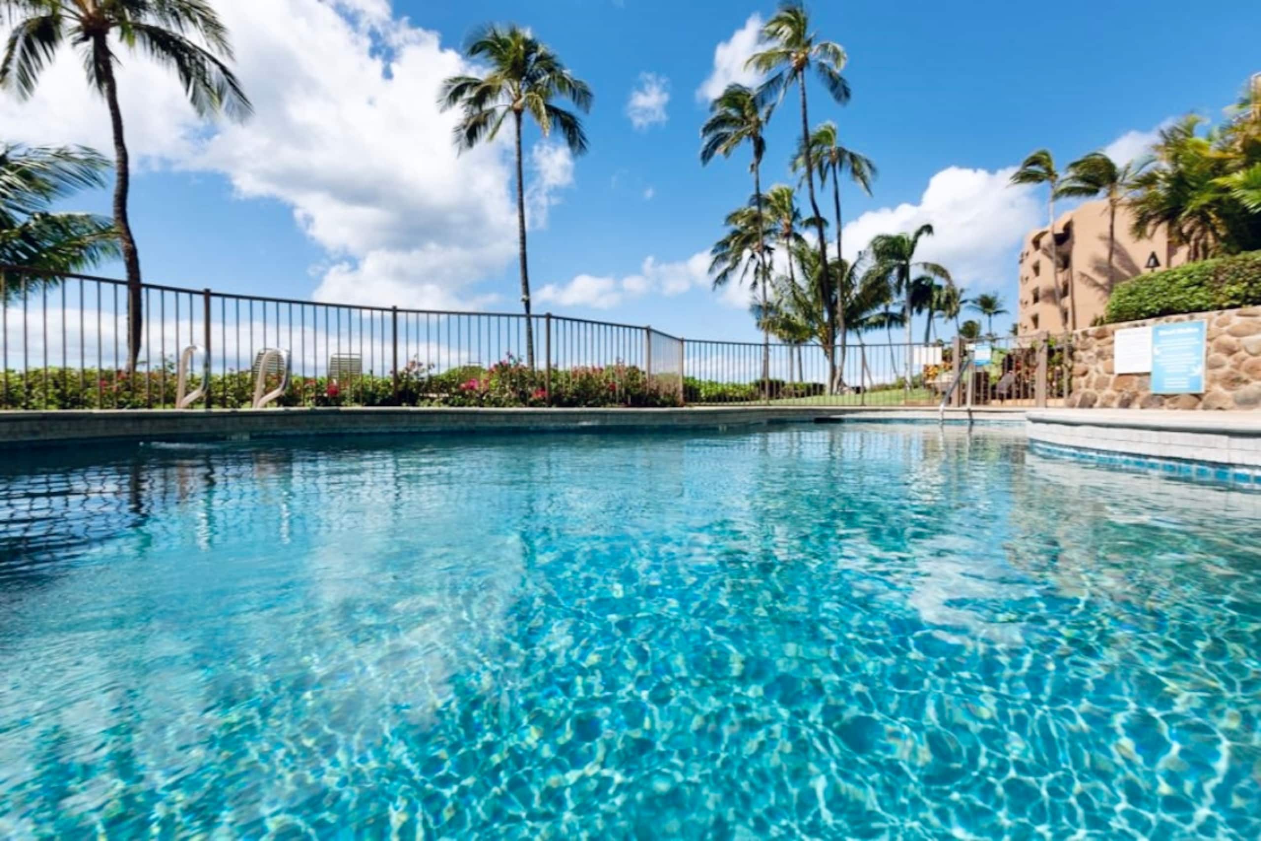 Condo in Wailuku · ★4.98 · 1 bedroom · 2 beds · 1 private bath - Image 32