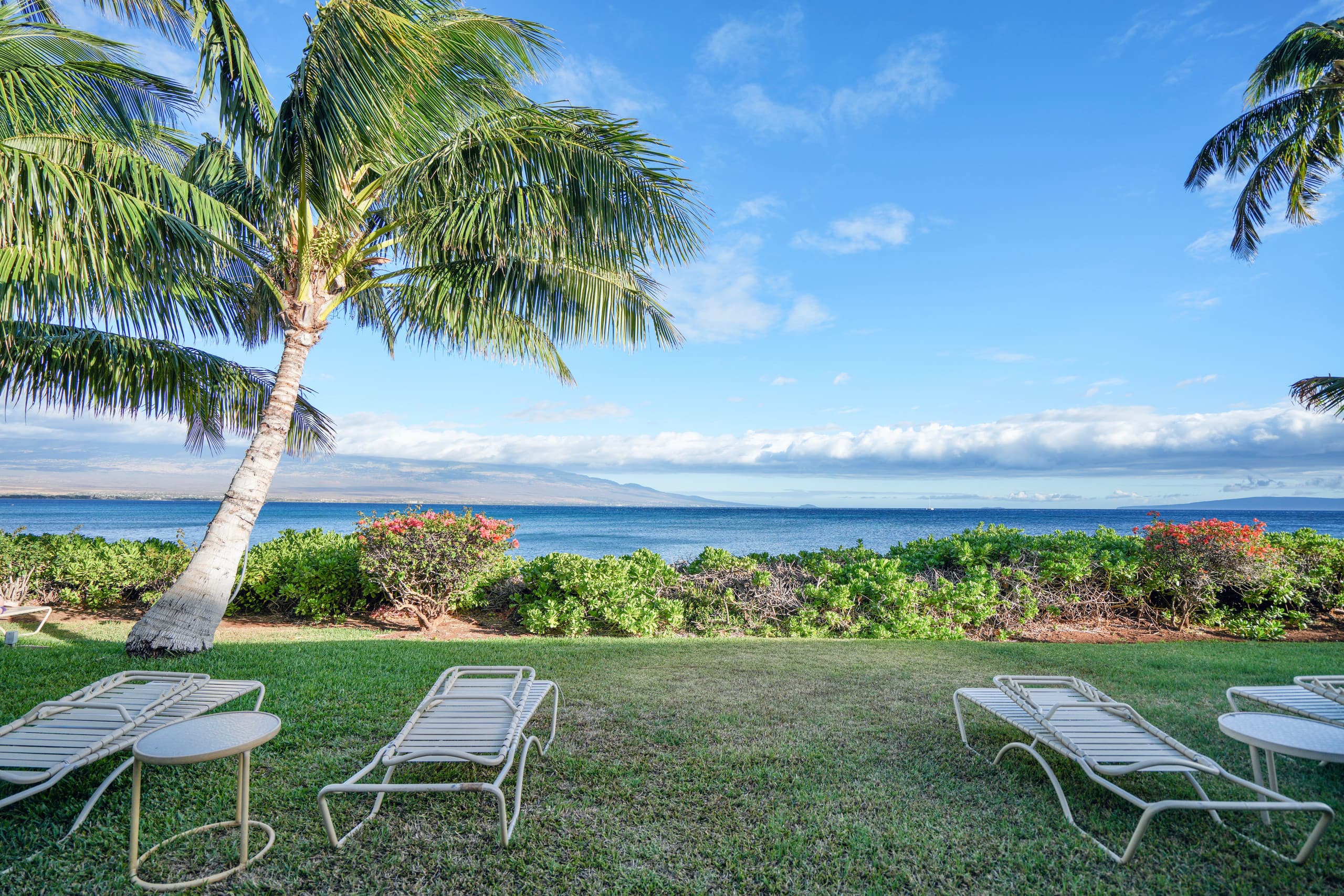 Condo in Wailuku · ★4.98 · 1 bedroom · 2 beds · 1 private bath - Image 28