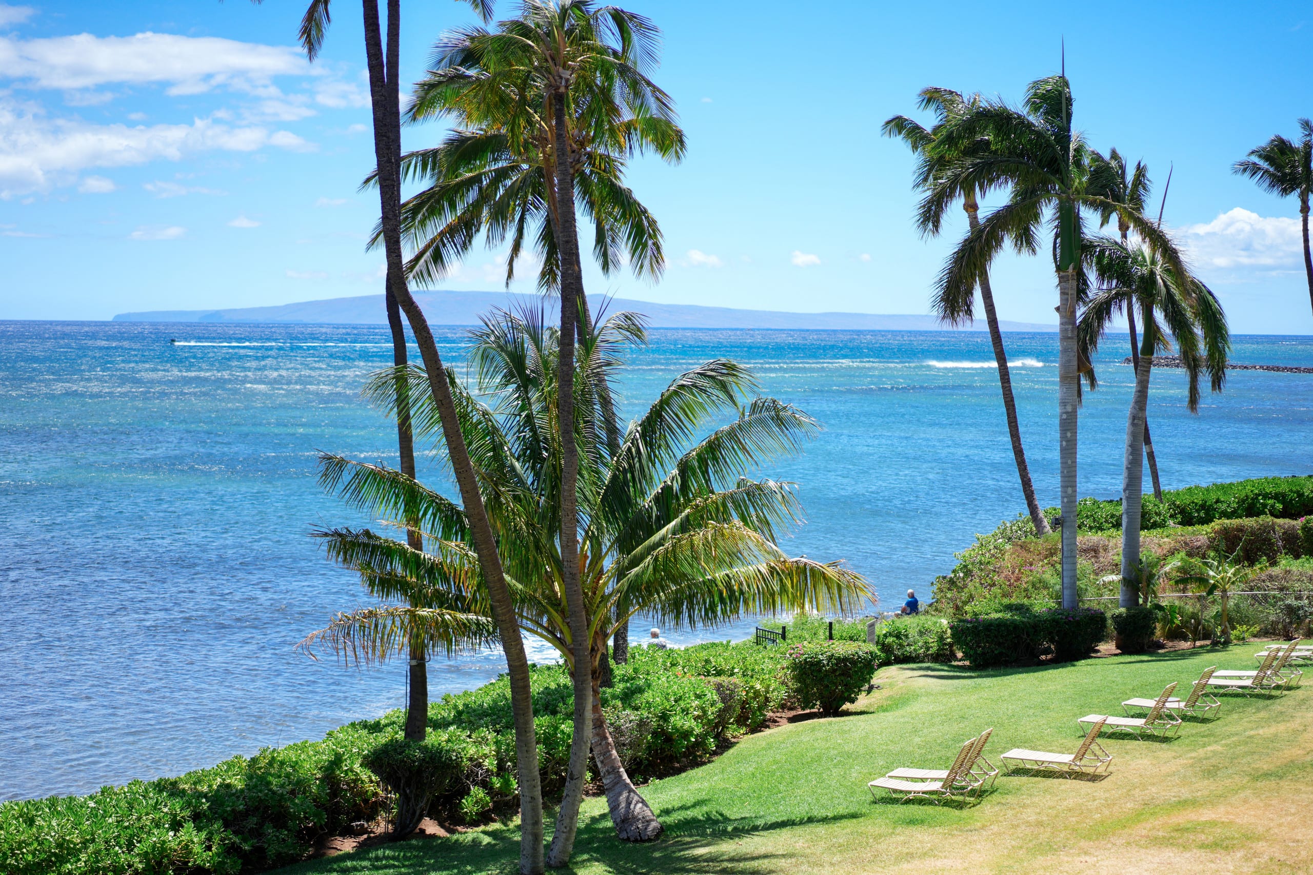 Condo in Wailuku · ★4.98 · 1 bedroom · 2 beds · 1 private bath - Image 29