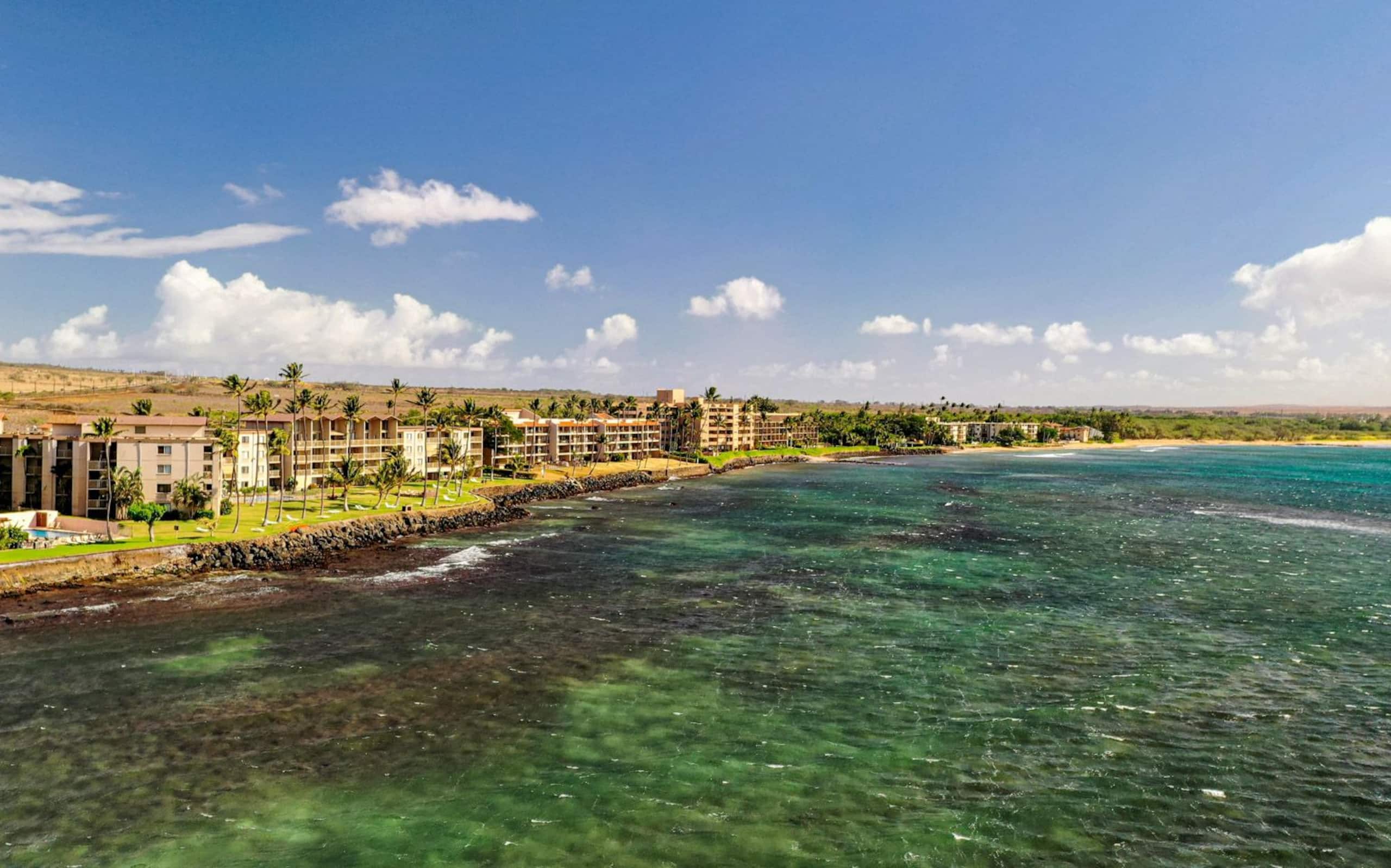Condo in Wailuku · ★4.9 · 1 bedroom · 1 bed · 1 bath - Image 17