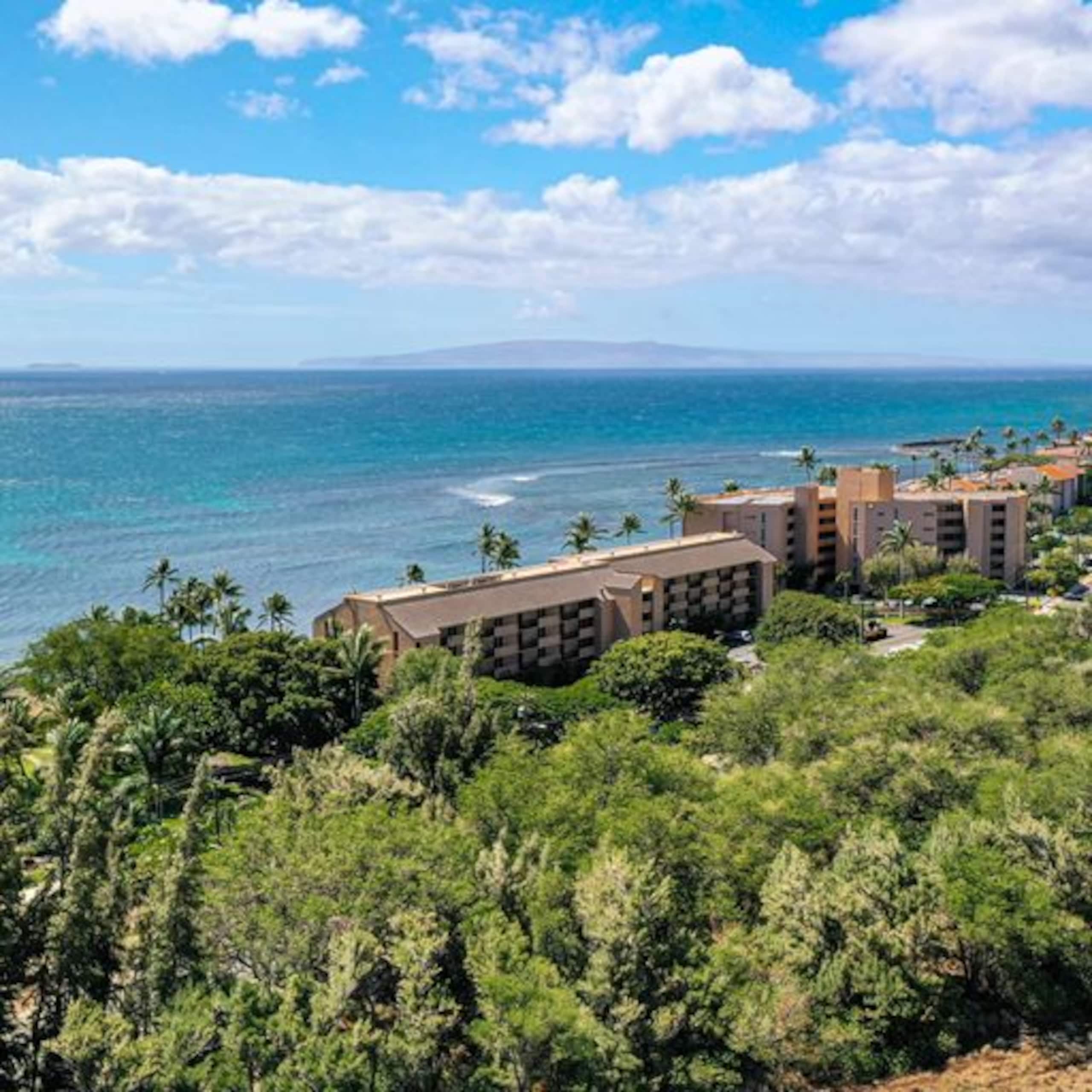Condo in Wailuku · ★4.9 · 1 bedroom · 1 bed · 1 bath - Image 8